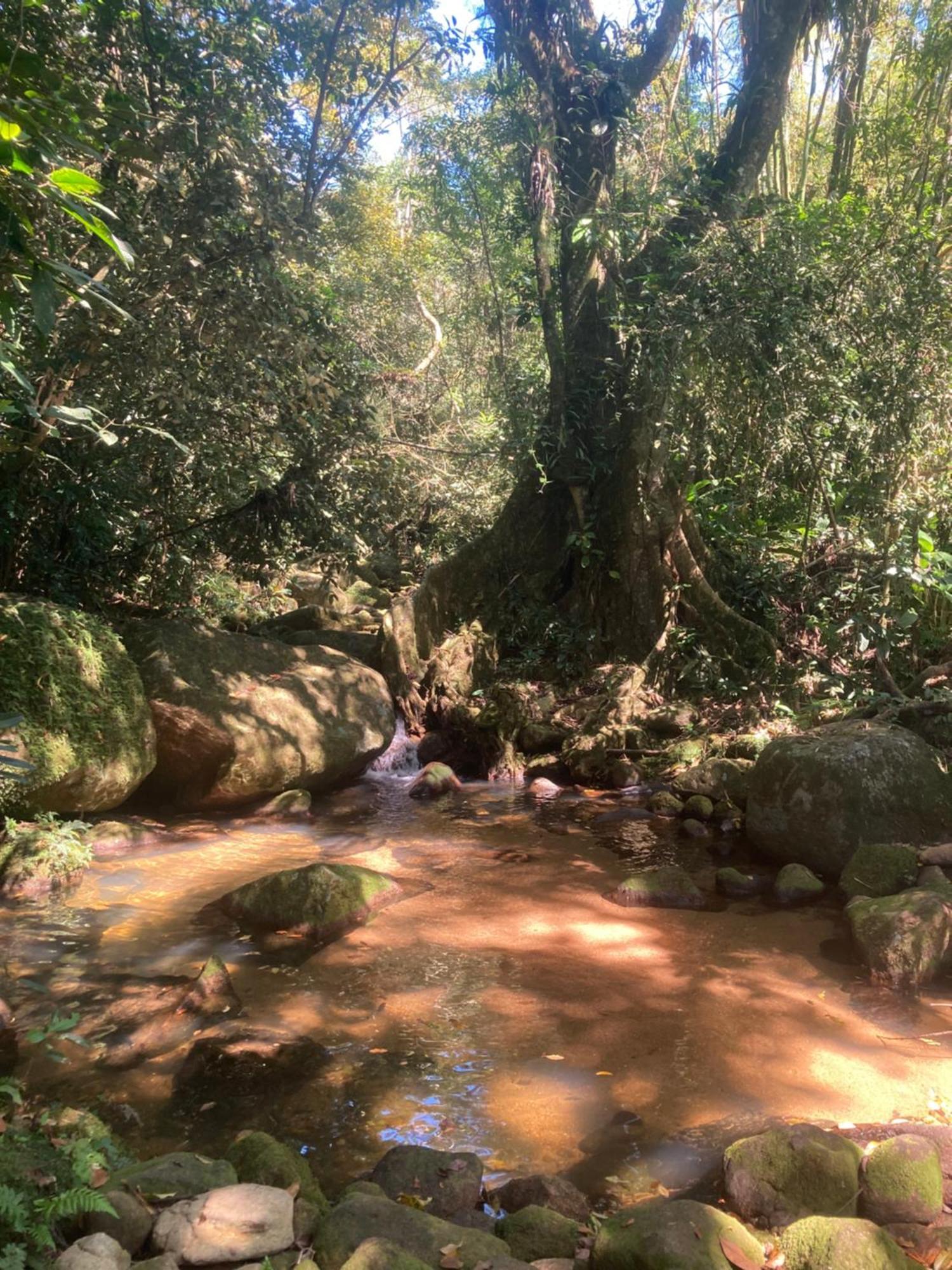 Casa Arariba - Ilha Grande - 일랴그란지 외부 사진